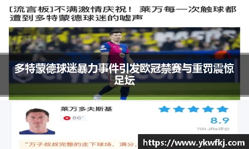 多特蒙德球迷暴力事件引发欧冠禁赛与重罚震惊足坛